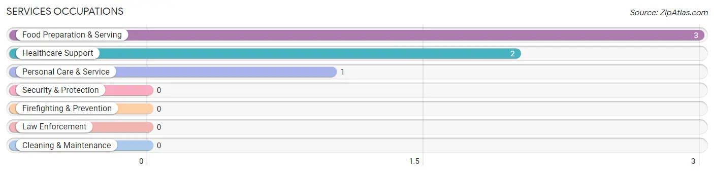 Services Occupations in Taopi