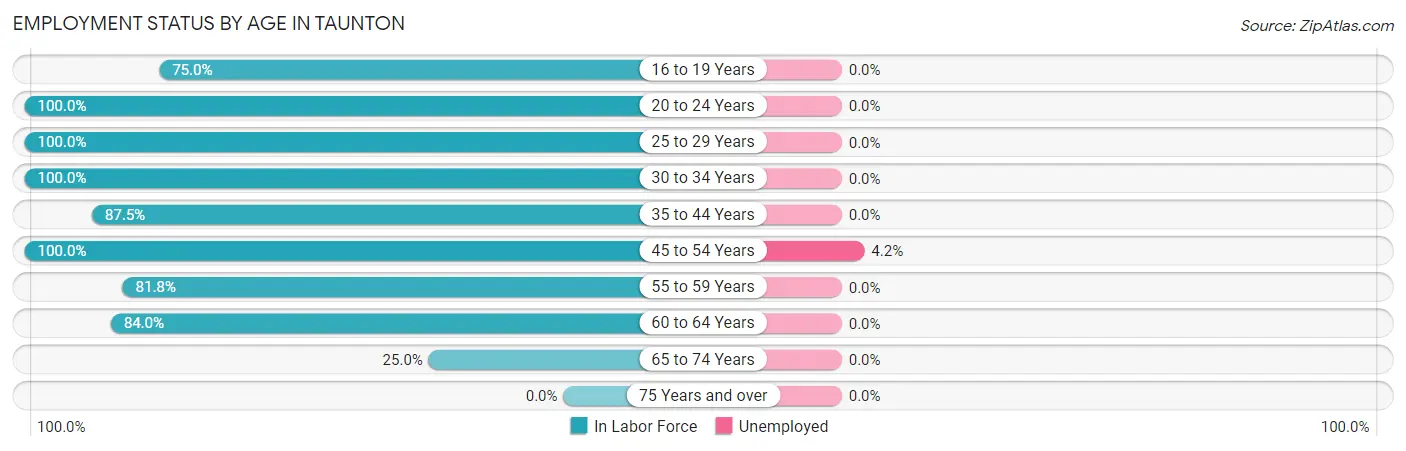 Employment Status by Age in Taunton