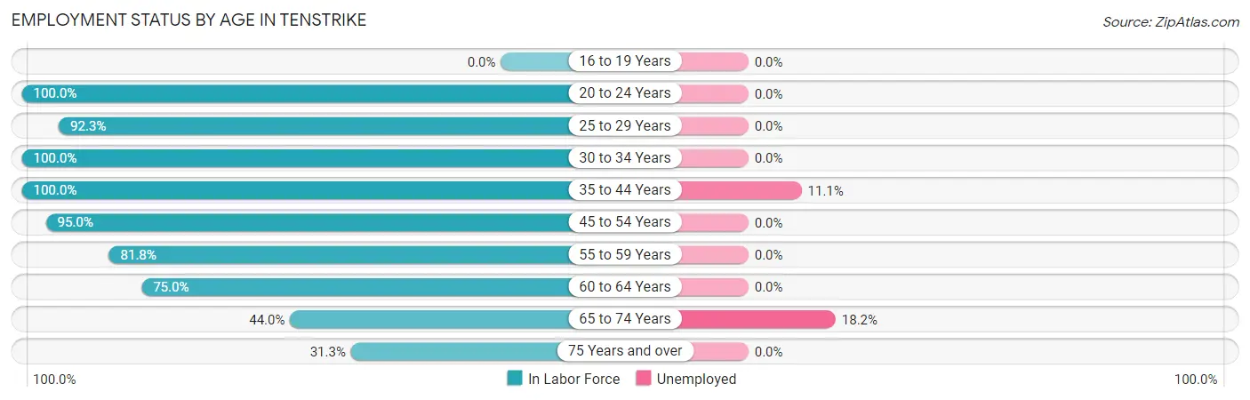 Employment Status by Age in Tenstrike