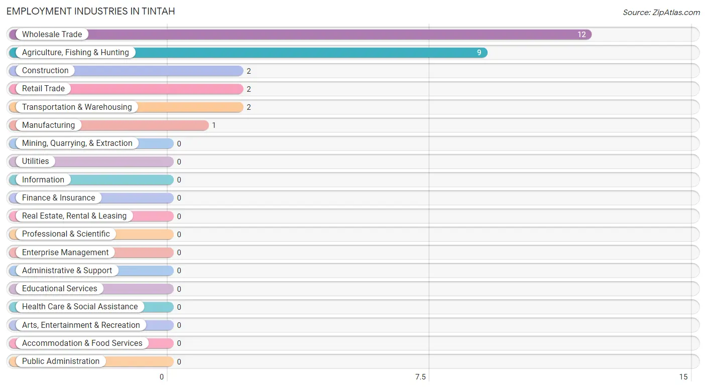 Employment Industries in Tintah