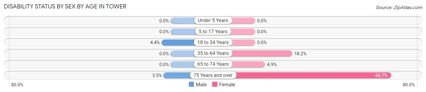 Disability Status by Sex by Age in Tower