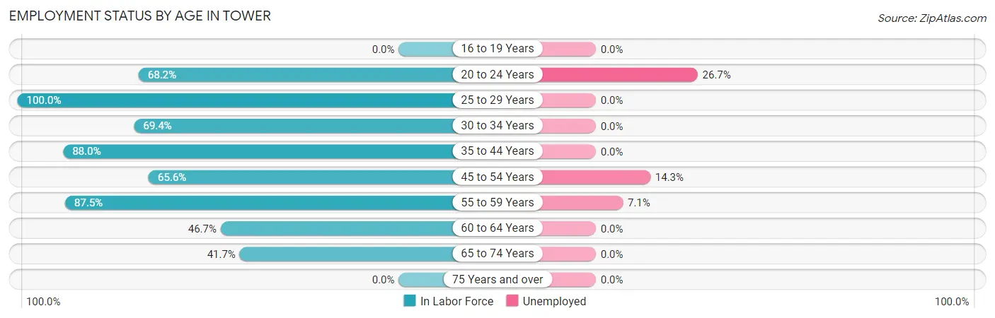 Employment Status by Age in Tower