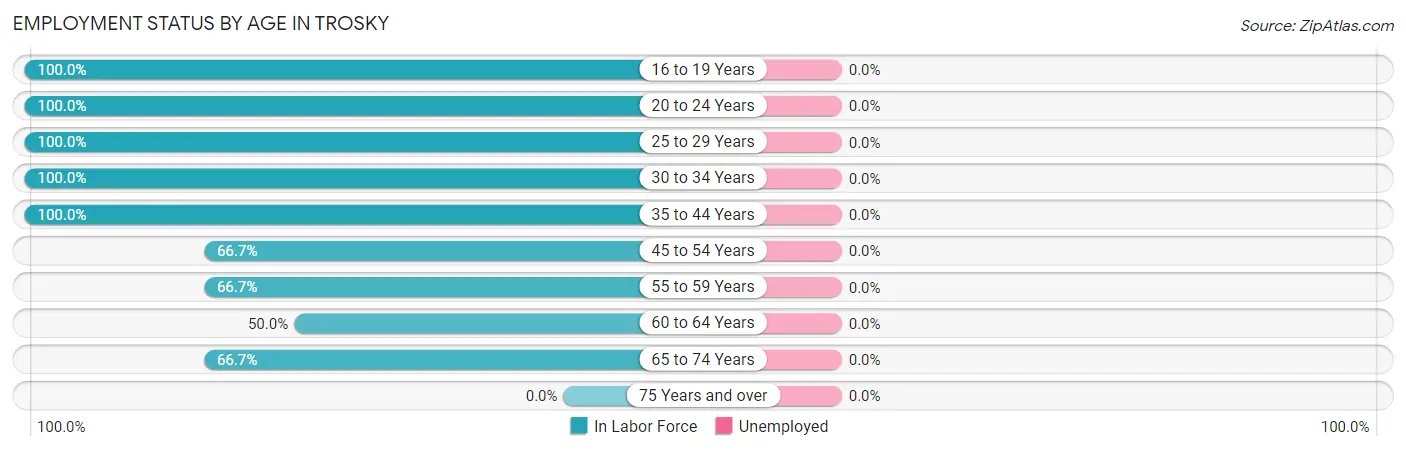 Employment Status by Age in Trosky