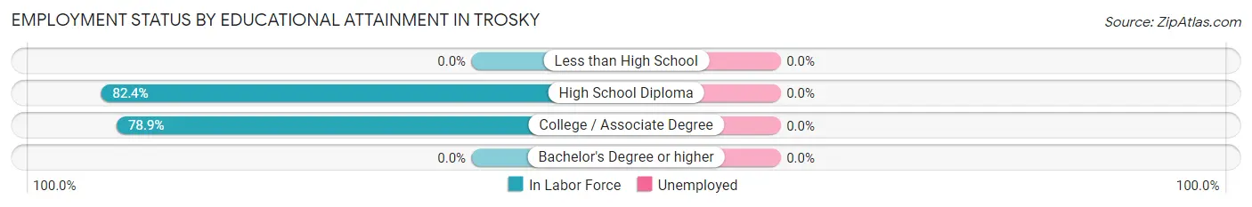 Employment Status by Educational Attainment in Trosky