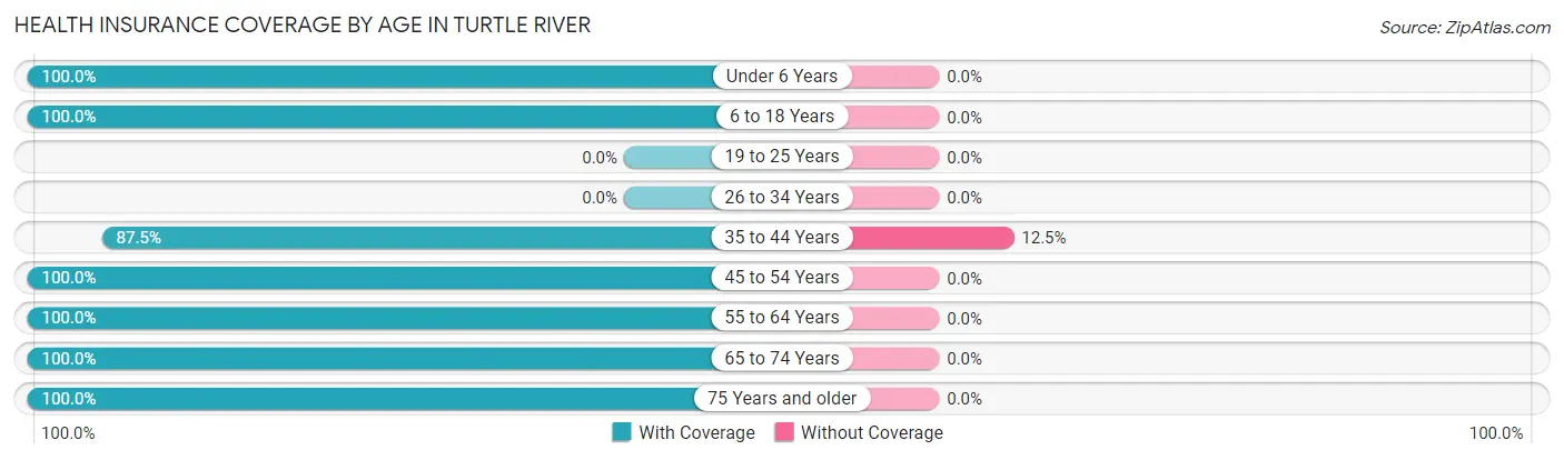 Health Insurance Coverage by Age in Turtle River