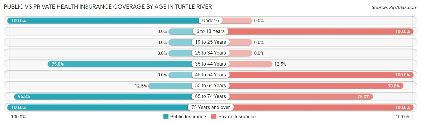 Public vs Private Health Insurance Coverage by Age in Turtle River