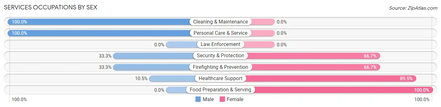 Services Occupations by Sex in Twin Lakes