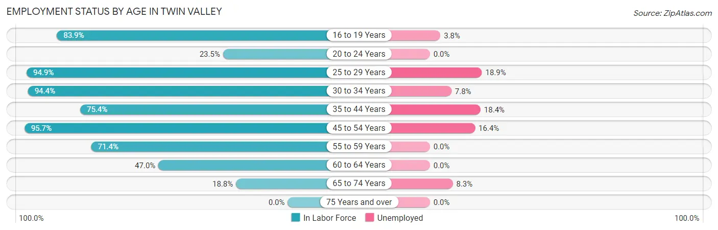 Employment Status by Age in Twin Valley