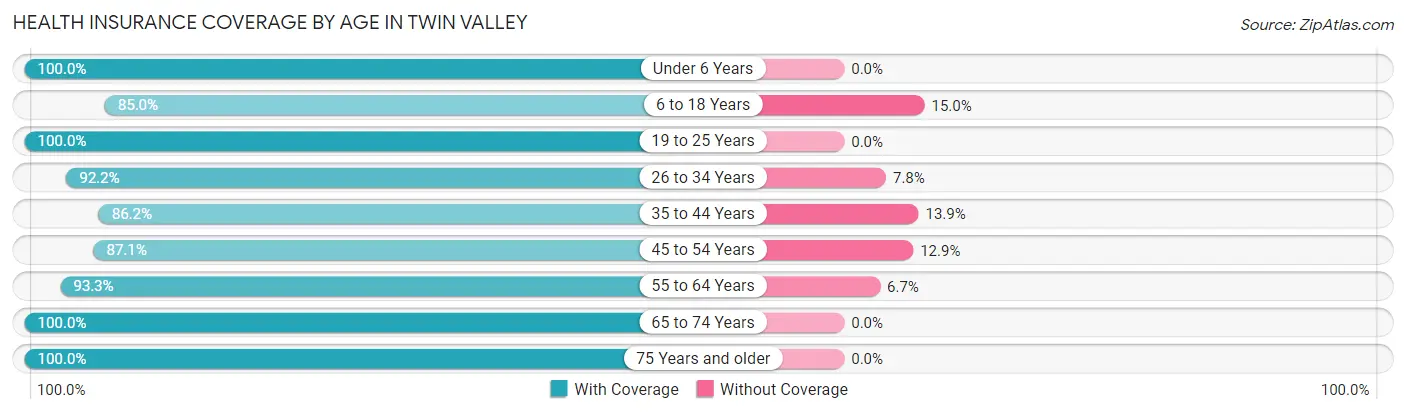 Health Insurance Coverage by Age in Twin Valley