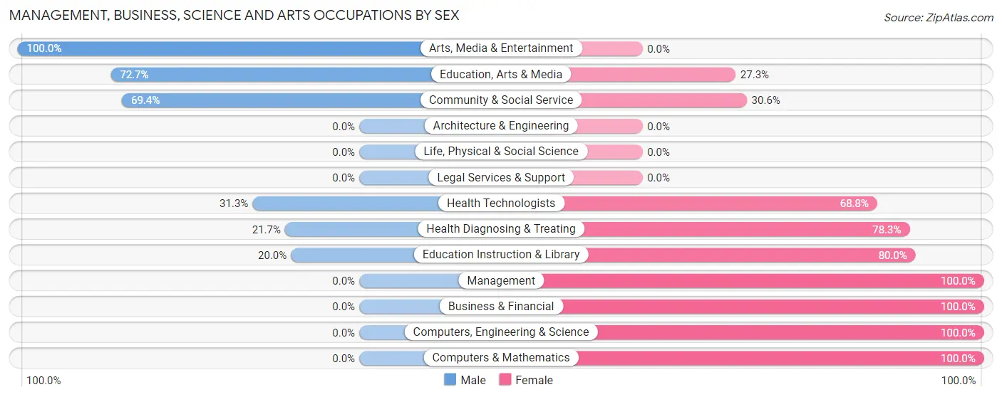 Management, Business, Science and Arts Occupations by Sex in Verndale
