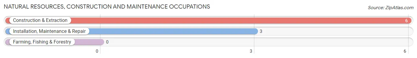 Natural Resources, Construction and Maintenance Occupations in Vineland