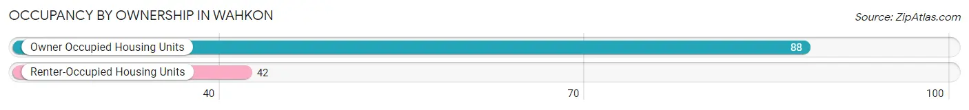 Occupancy by Ownership in Wahkon