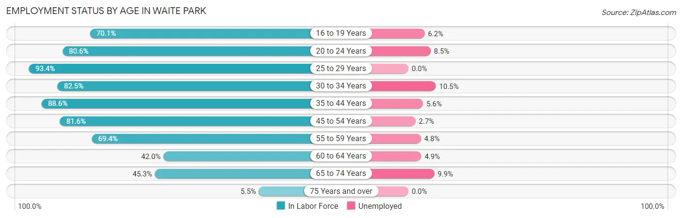 Employment Status by Age in Waite Park