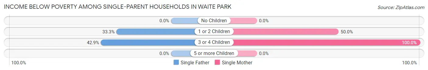 Income Below Poverty Among Single-Parent Households in Waite Park