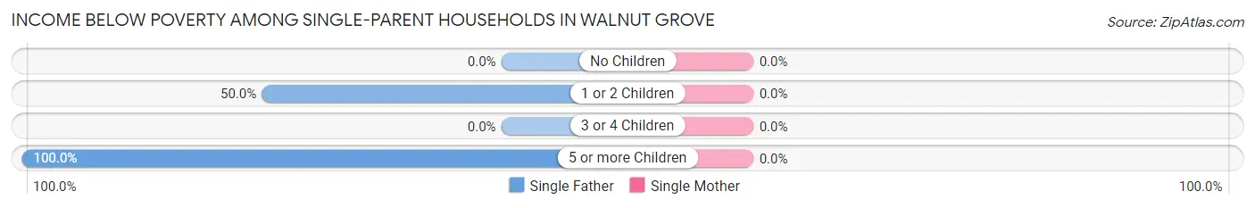 Income Below Poverty Among Single-Parent Households in Walnut Grove