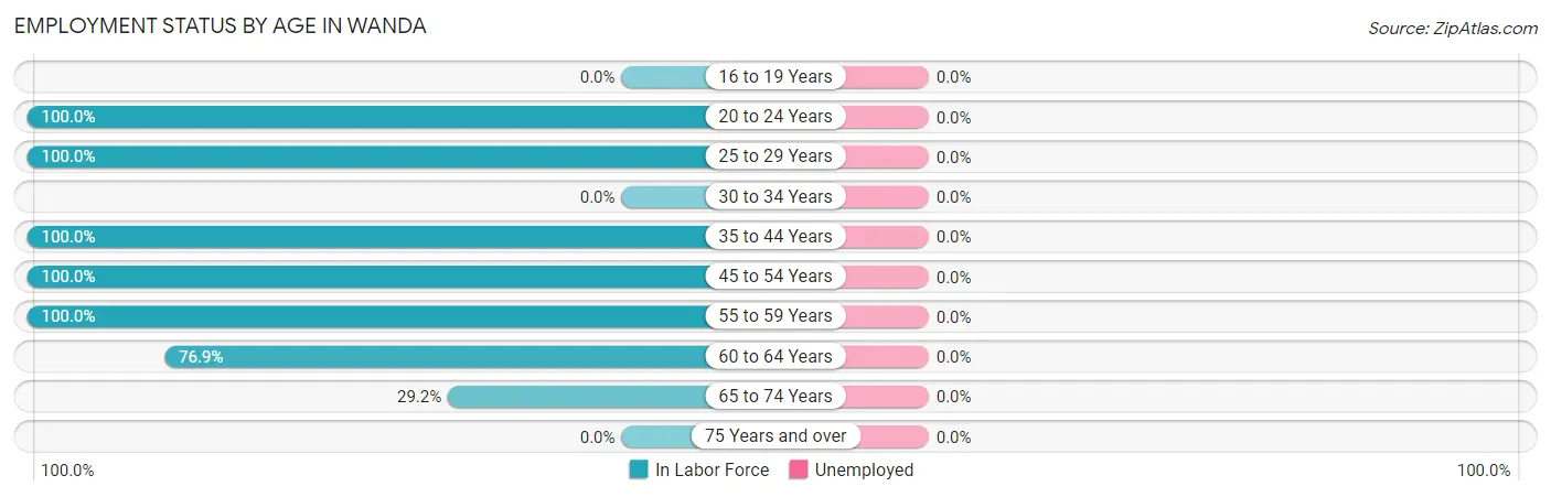 Employment Status by Age in Wanda