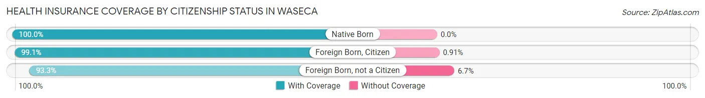 Health Insurance Coverage by Citizenship Status in Waseca