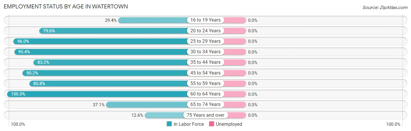 Employment Status by Age in Watertown