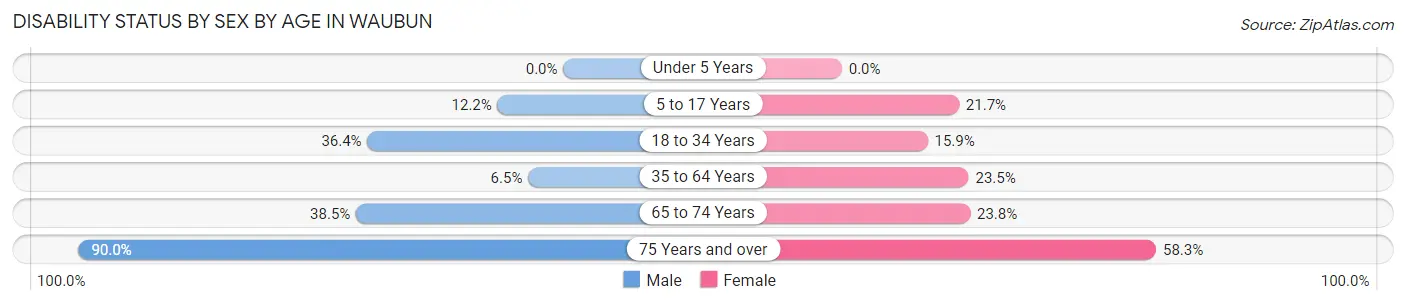 Disability Status by Sex by Age in Waubun
