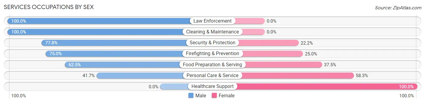 Services Occupations by Sex in Waubun