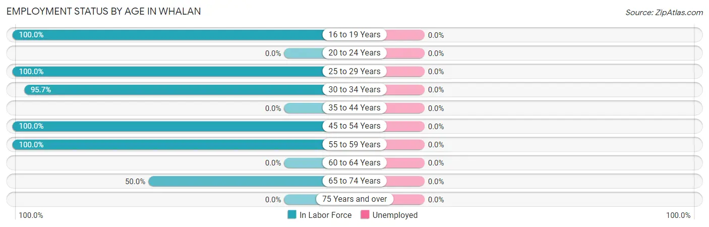 Employment Status by Age in Whalan