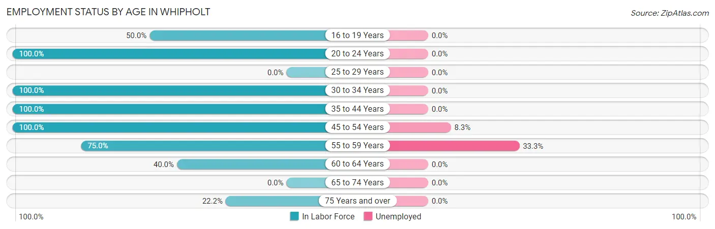 Employment Status by Age in Whipholt