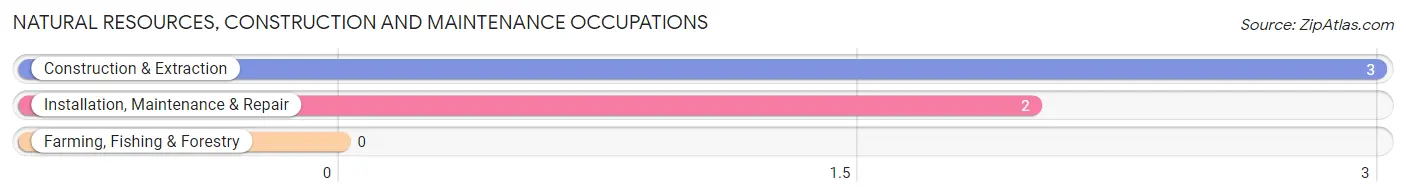 Natural Resources, Construction and Maintenance Occupations in Whipholt