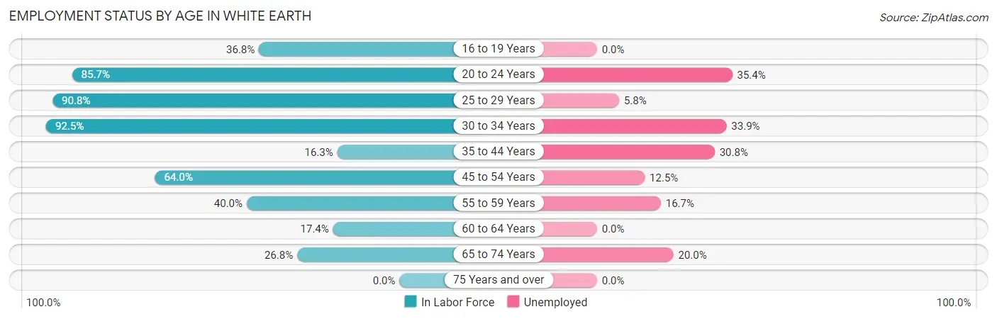 Employment Status by Age in White Earth