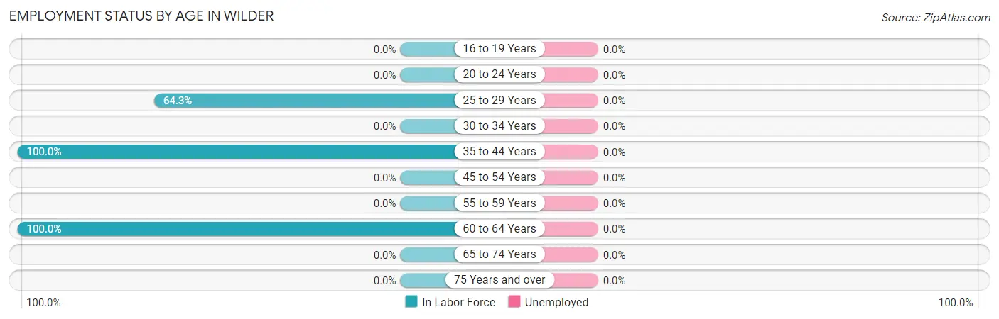 Employment Status by Age in Wilder