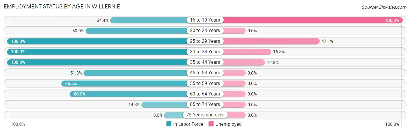 Employment Status by Age in Willernie