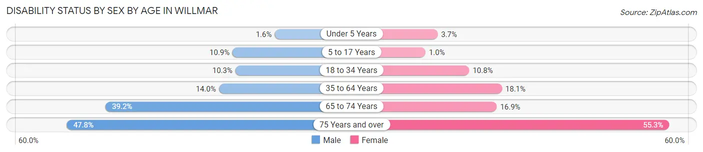 Disability Status by Sex by Age in Willmar