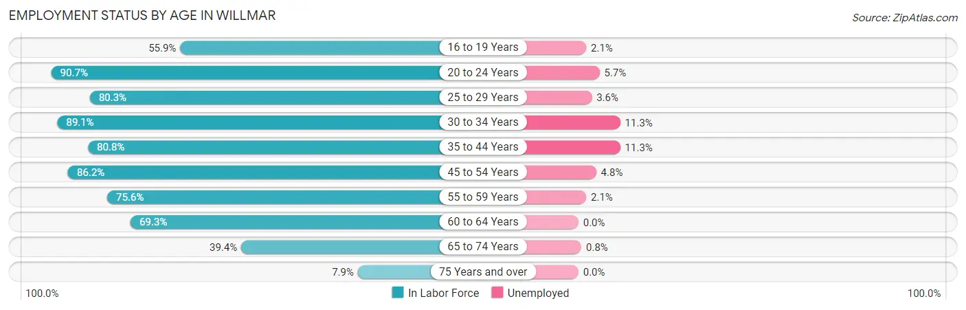Employment Status by Age in Willmar