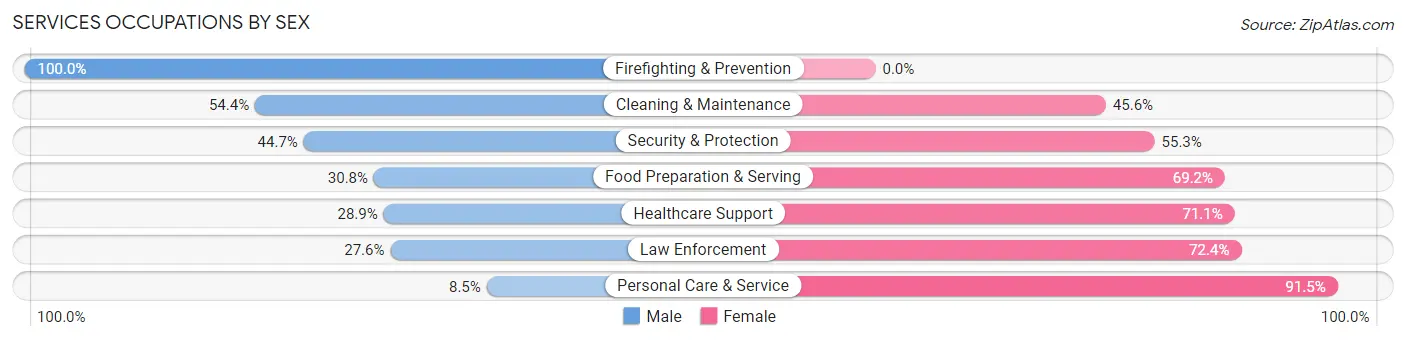 Services Occupations by Sex in Willmar