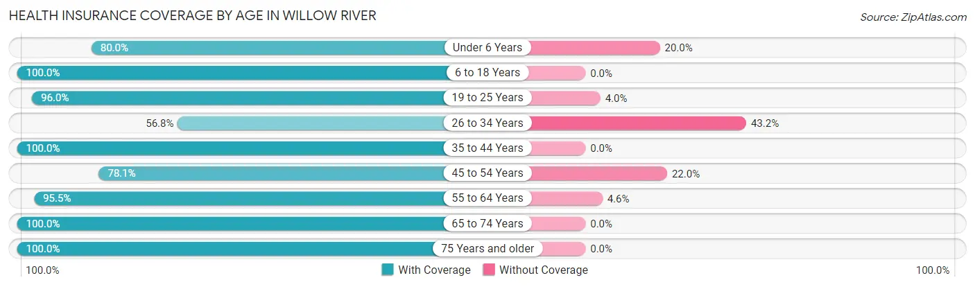 Health Insurance Coverage by Age in Willow River