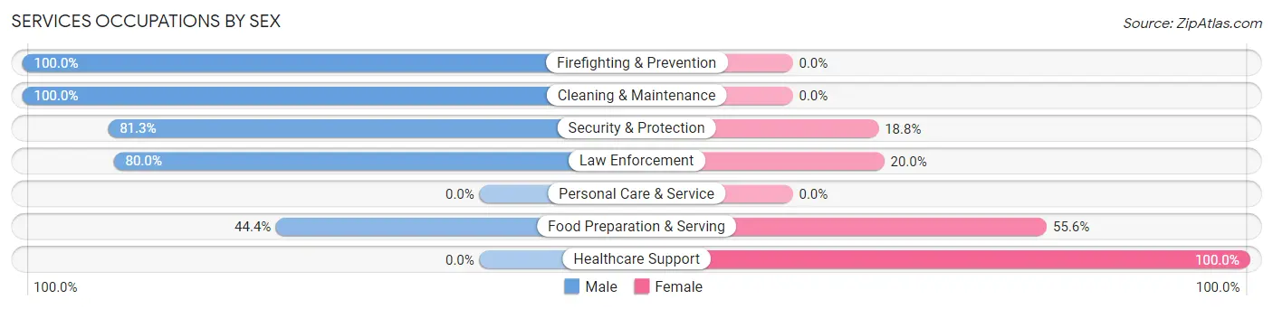 Services Occupations by Sex in Willow River