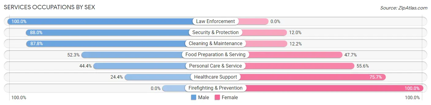 Services Occupations by Sex in Windom