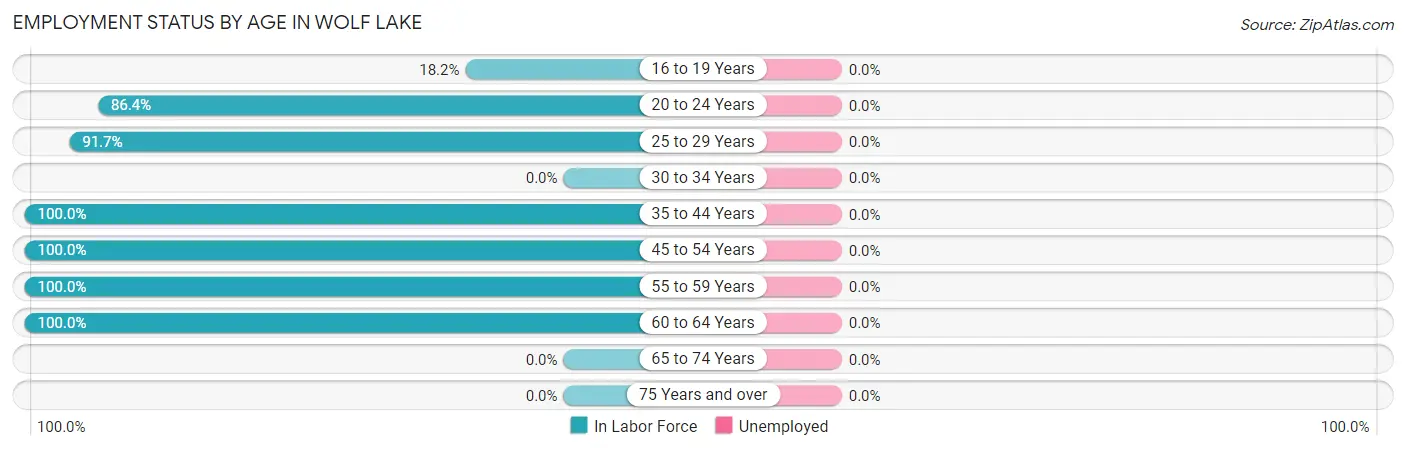 Employment Status by Age in Wolf Lake