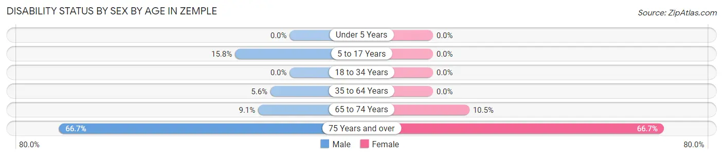Disability Status by Sex by Age in Zemple