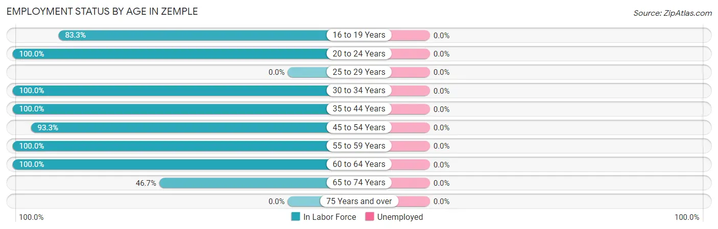 Employment Status by Age in Zemple