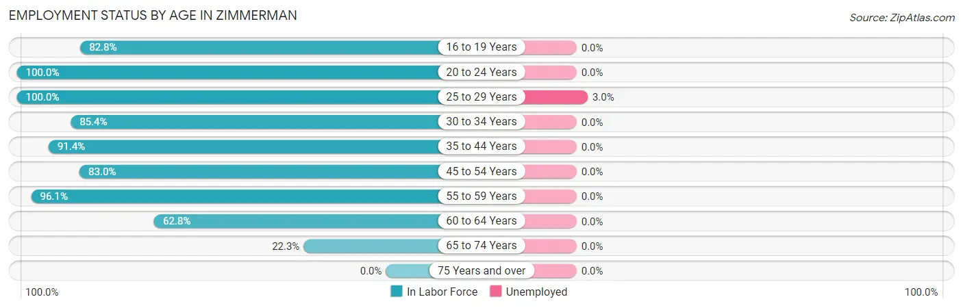 Employment Status by Age in Zimmerman