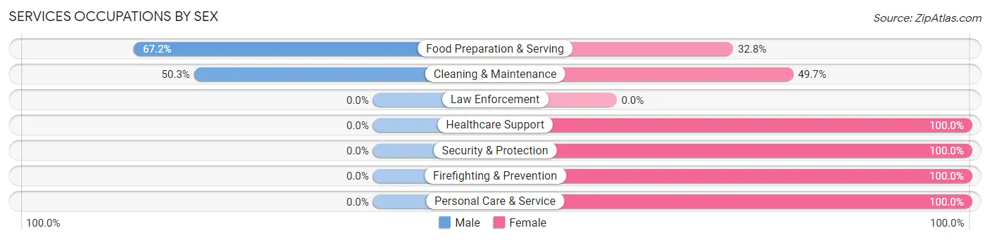 Services Occupations by Sex in Zimmerman