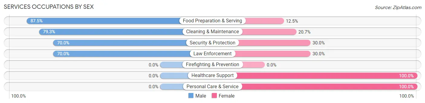 Services Occupations by Sex in Adrian