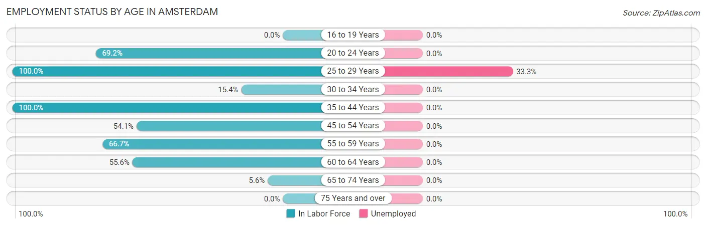Employment Status by Age in Amsterdam