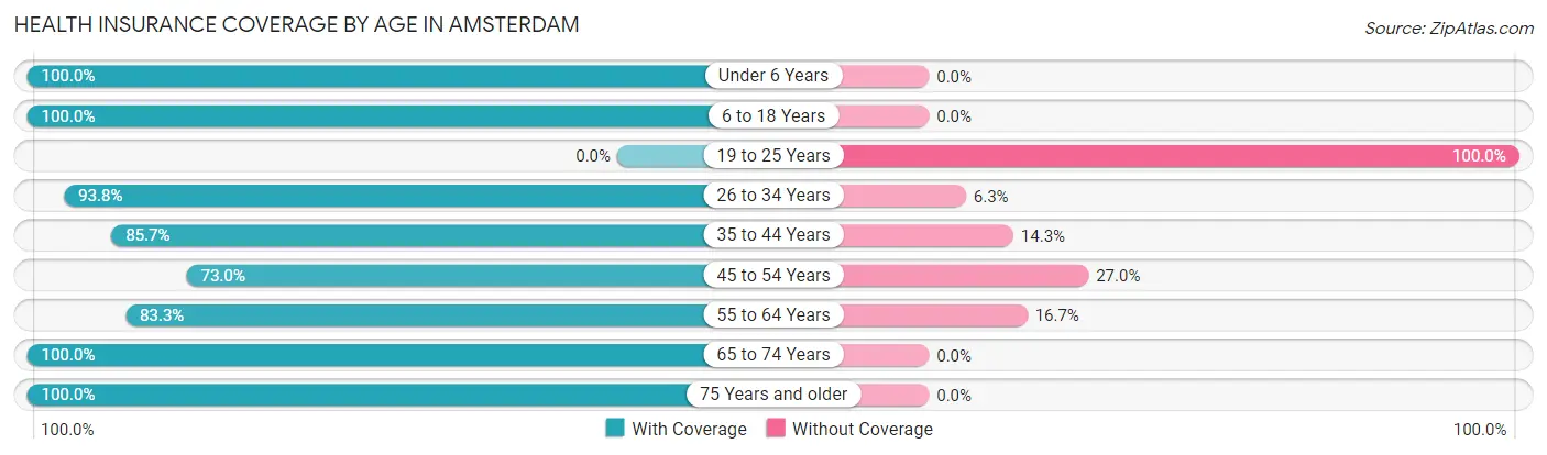 Health Insurance Coverage by Age in Amsterdam