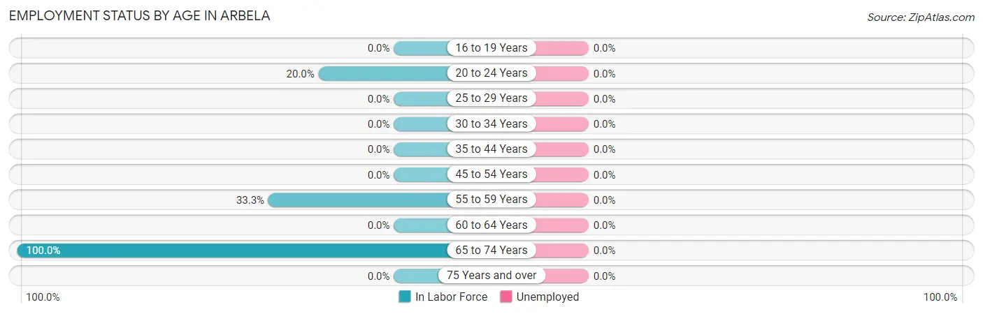 Employment Status by Age in Arbela