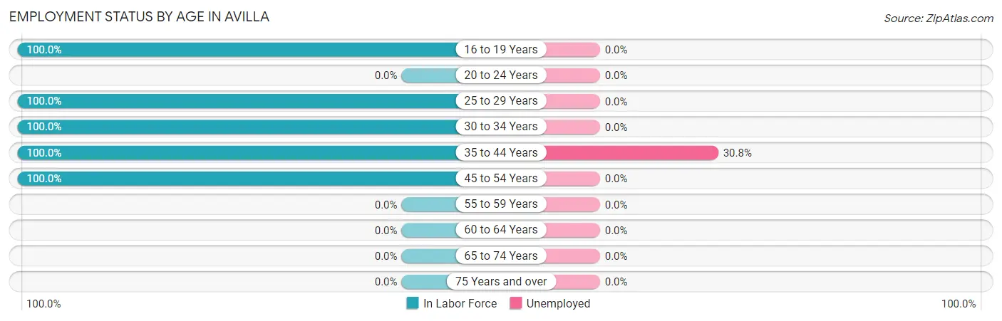 Employment Status by Age in Avilla