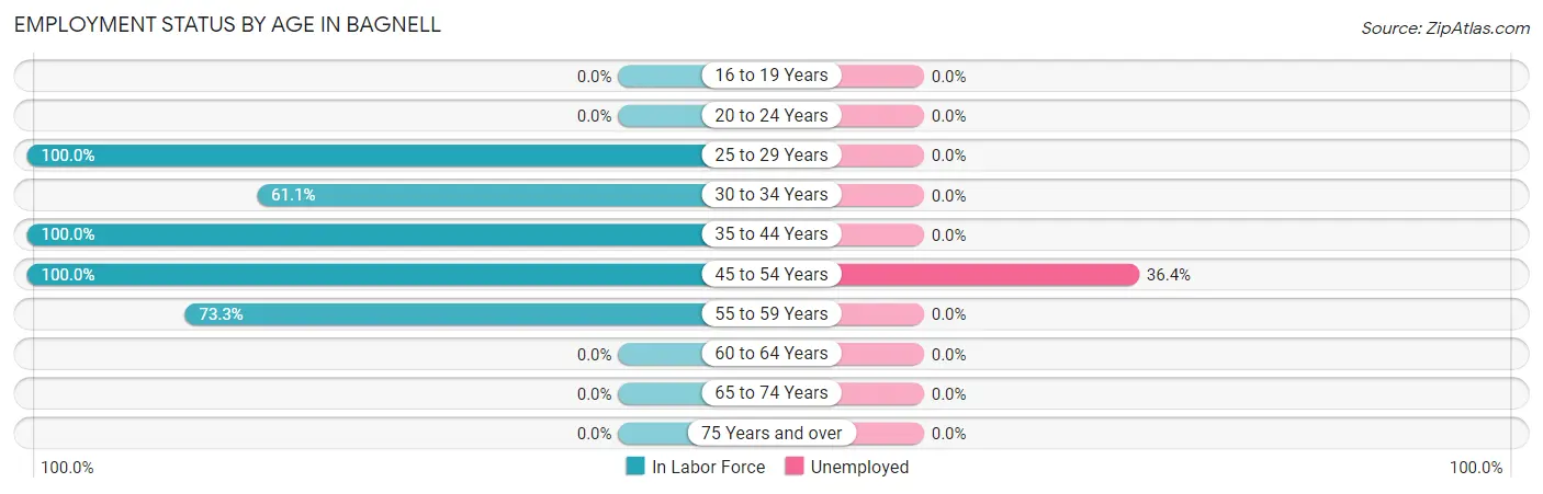 Employment Status by Age in Bagnell