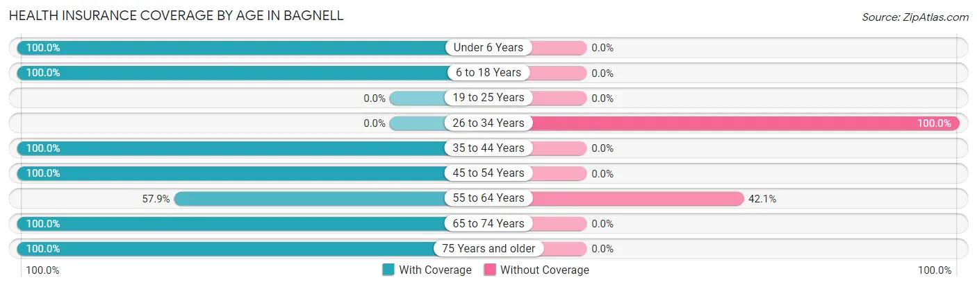 Health Insurance Coverage by Age in Bagnell