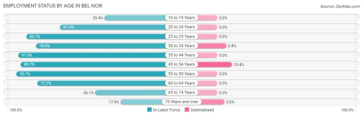 Employment Status by Age in Bel Nor