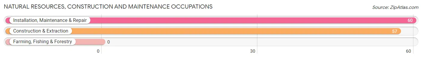 Natural Resources, Construction and Maintenance Occupations in Bellefontaine Neighbors